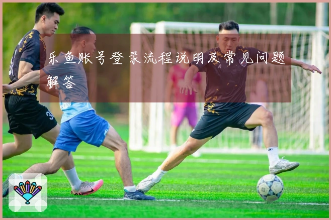 乐鱼账号登录流程说明及常见问题解答