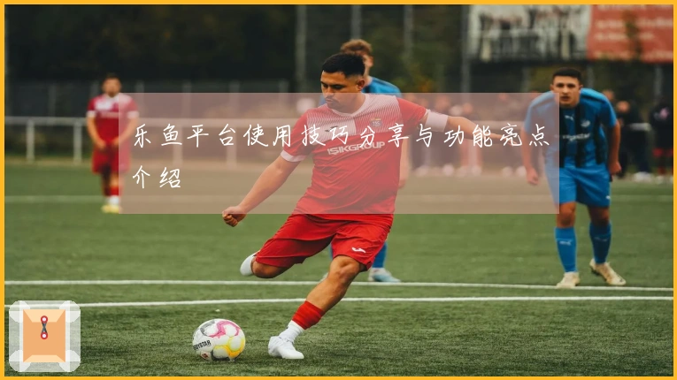乐鱼平台使用技巧分享与功能亮点介绍