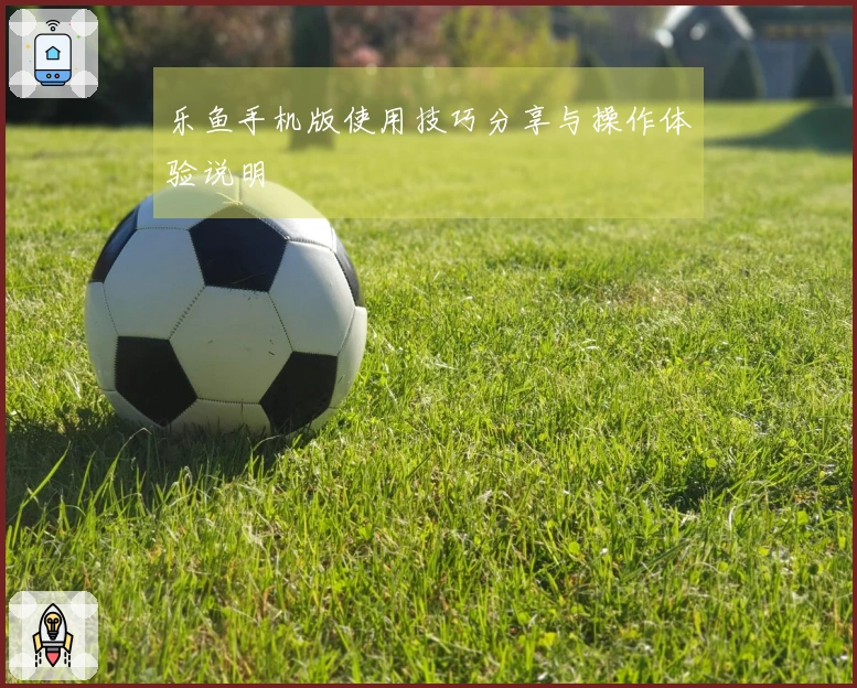 乐鱼手机版使用技巧分享与操作体验说明