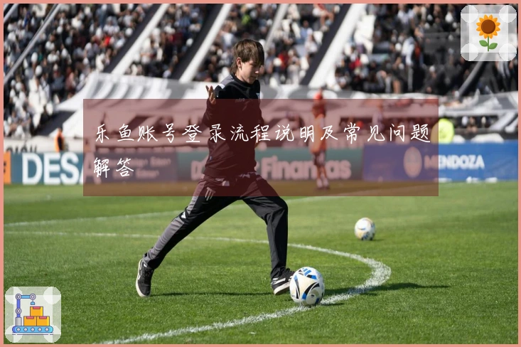 乐鱼账号登录流程说明及常见问题解答