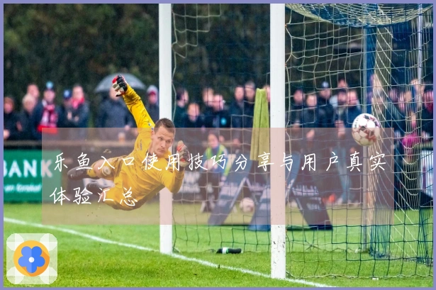 乐鱼入口使用技巧分享与用户真实体验汇总